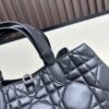 Large Dior Toujours Bag