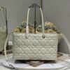 Top-Grade Original Dior Stills Handbag