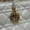 Top-Grade Original Dior Stills Handbag