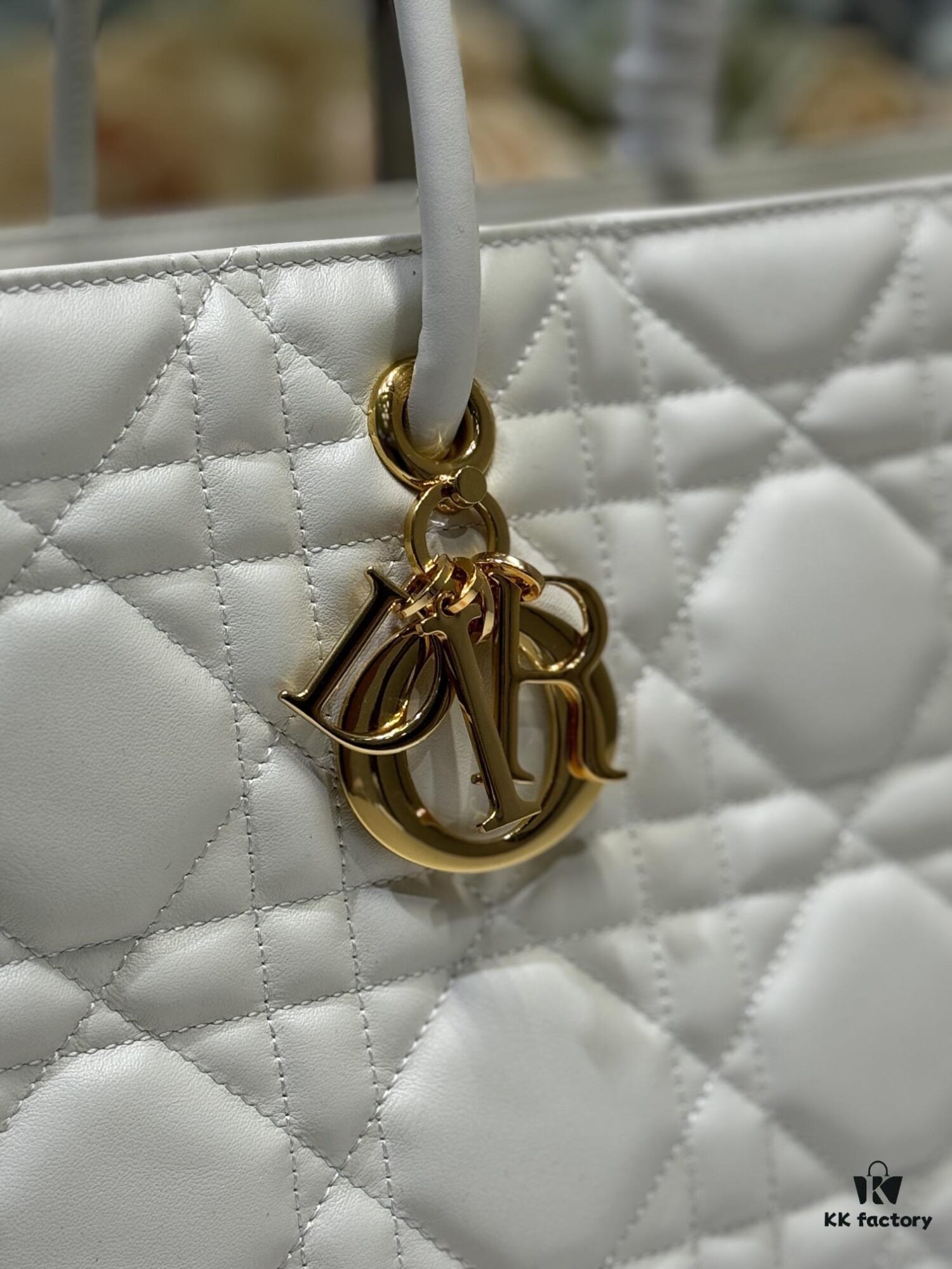 Top-Grade Original Dior Stills Handbag