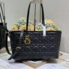 Top-Grade Authentic Dior Stills Handbag