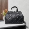 Large Dior Toujours Bag