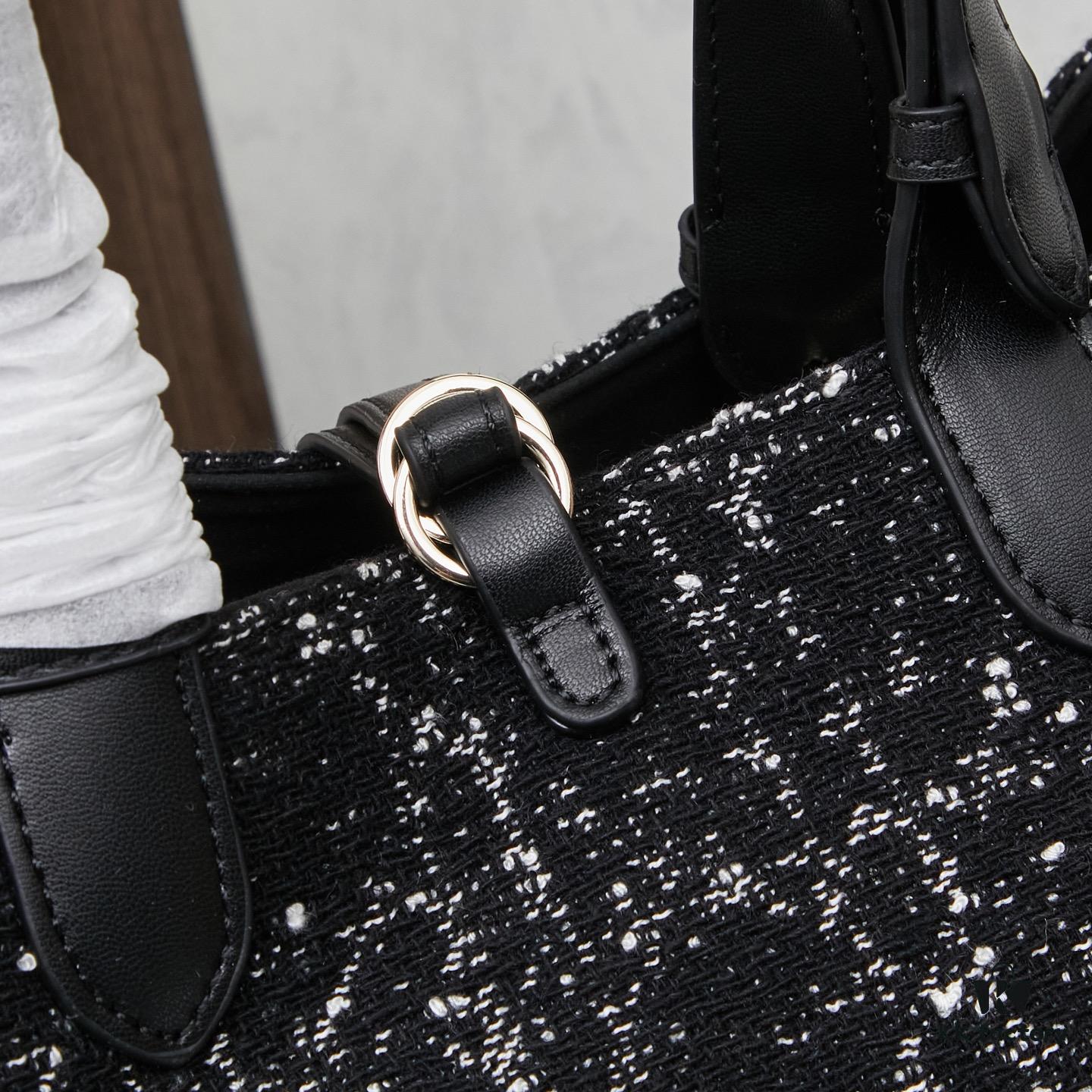 Dior Toujours Medium Bag