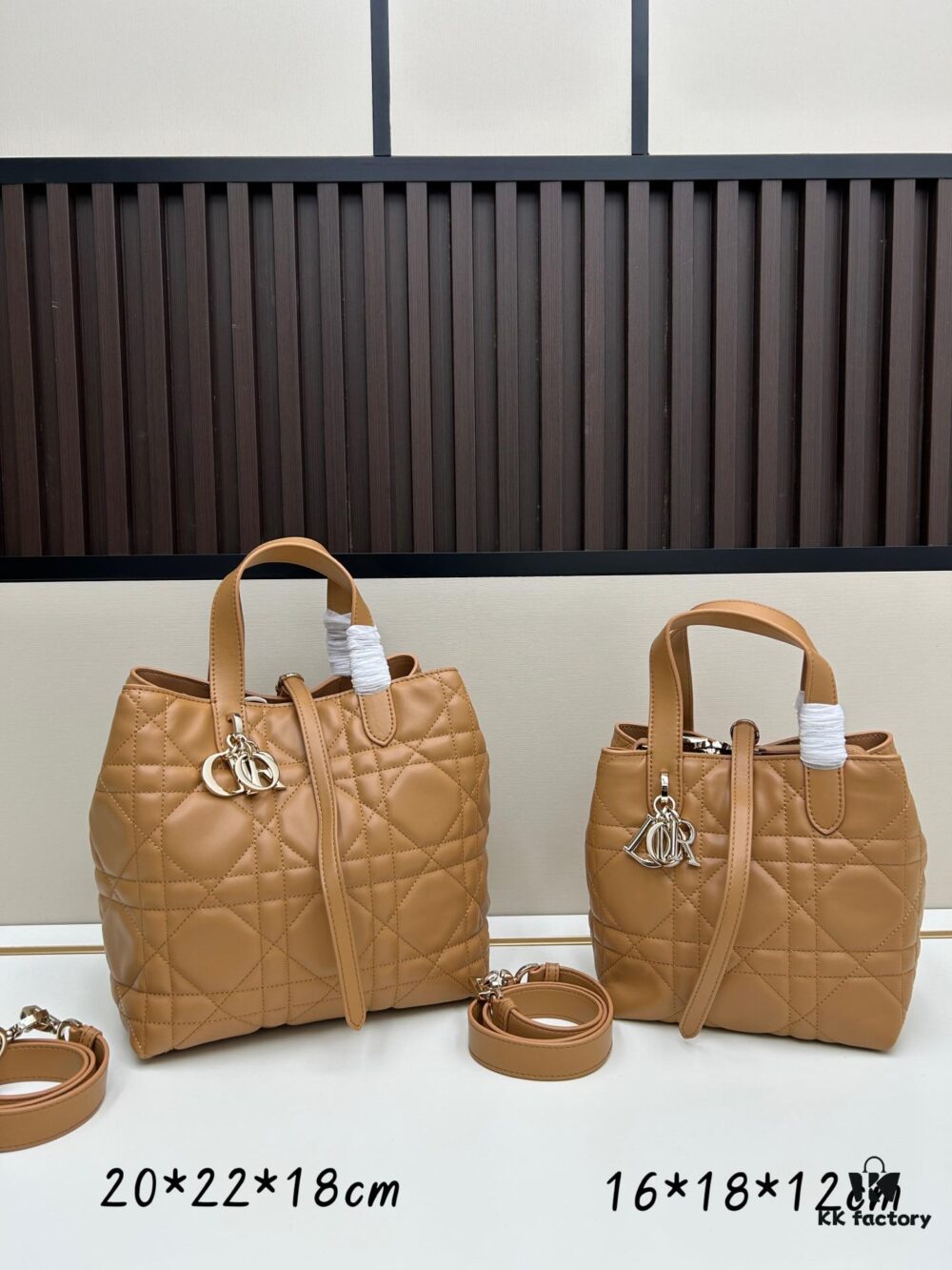 Dior Toujours Vertical Handbag in Blush Beige Calfskin Leather