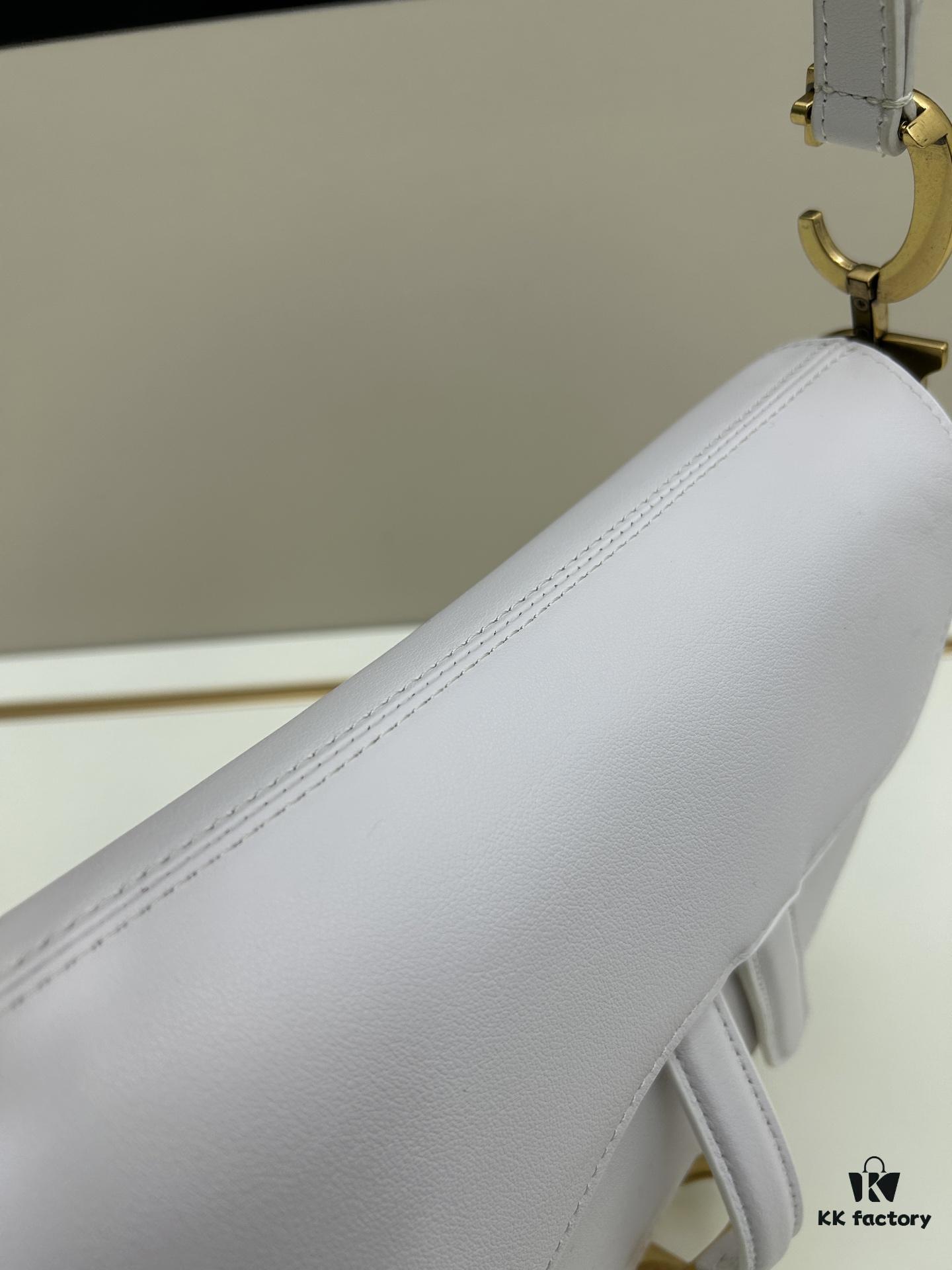 Dior Saddle Bag Monogram Series - Large Size 0455 with Box and Authentic Strap