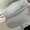 Dior Saddle Bag Monogram Series - Large Size 0455 with Box and Authentic Strap