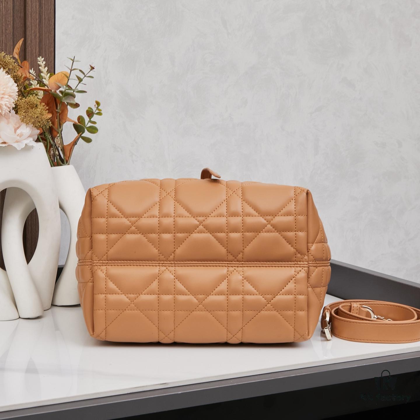 Medium Dior Toujours Vertical Handbag in Blush Beige Calfskin Leather