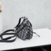 Small Size with Black Dior Saddle Bag with Silver Buckle in Box