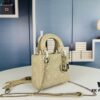 Lady Dior Small Three-Compartment Handbag with Silk Scarf