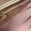 Lady Dior Small Three-Compartment Handbag with Silk Scarf