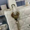 Lady Dior Small Three-Compartment Handbag with Silk Scarf