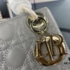 Lady Dior Small Three-Compartment Bag with Silk Scarf
