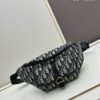 Dior 8 Belt Bag 2025 Spring Collection with Box - Ultimate in Value