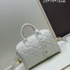 Dior Groove 25 Handbag