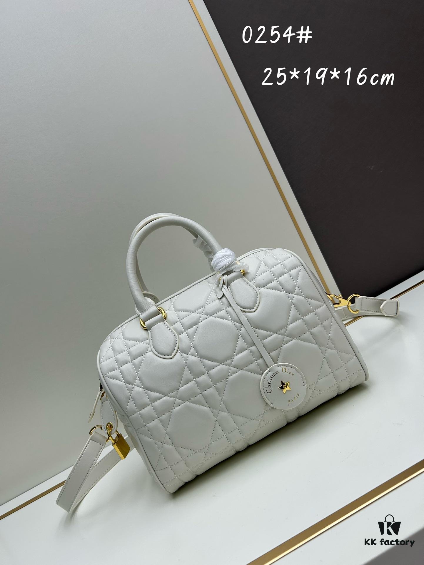 Dior Groove 25 Handbag