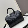 Dior Groove 25 Handbag