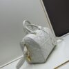 Dior Groove 25 Handbag from the Fall-Winter 2024 Ready-to-Wear Collection