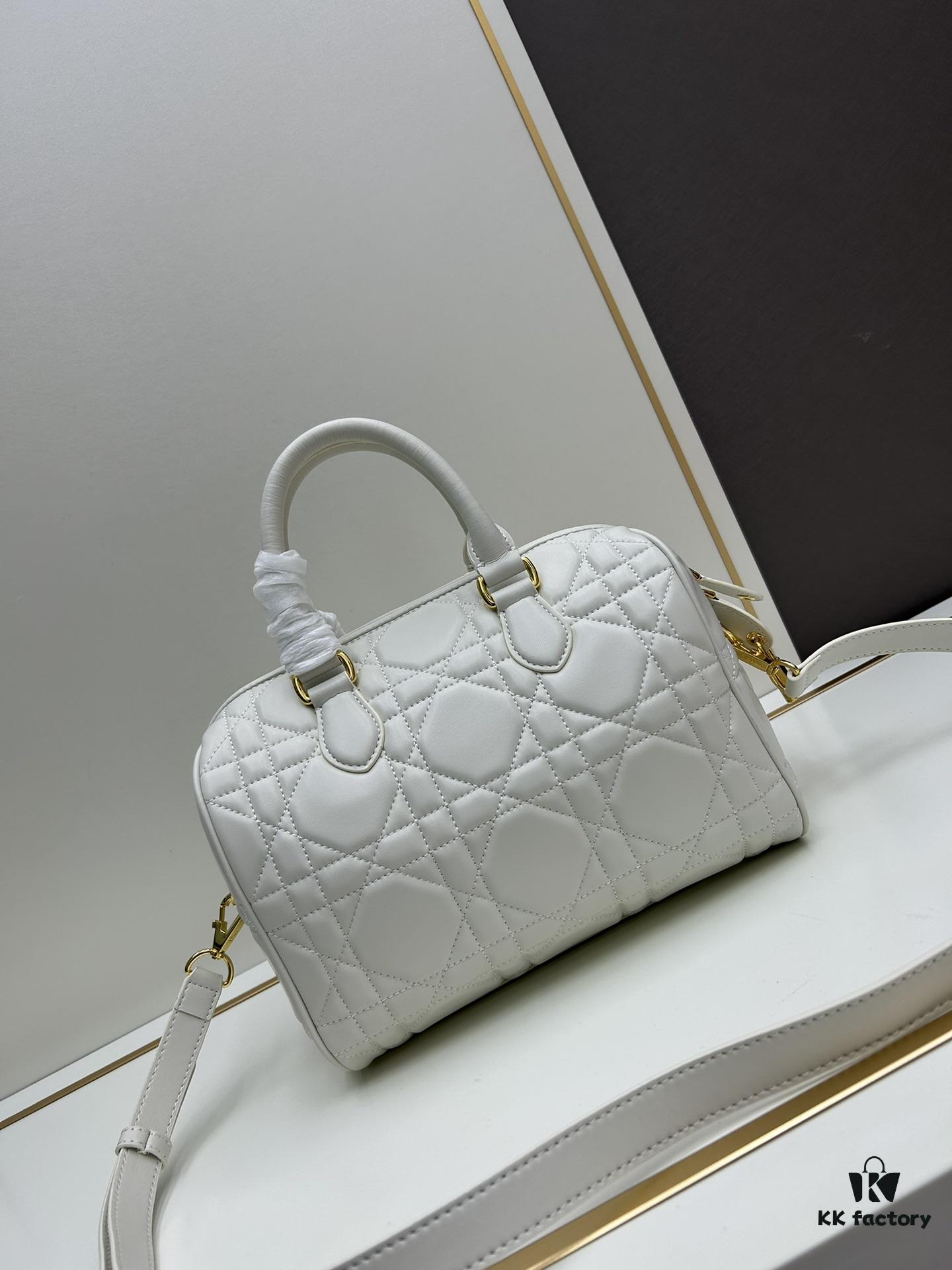 Dior Groove 25 Handbag from the Fall-Winter 2024 Ready-to-Wear Collection