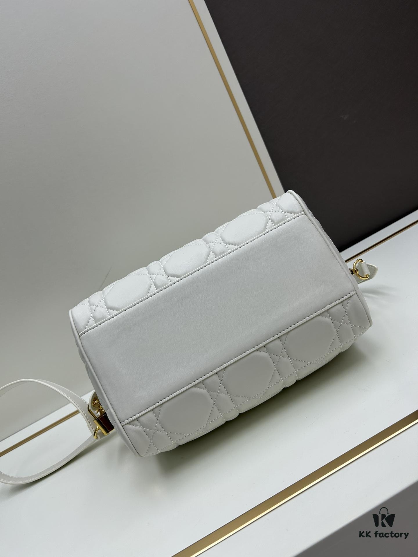 Dior Groove 25 Handbag from the Fall-Winter 2024 Ready-to-Wear Collection