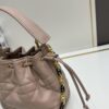 Dior 24 New Arrival Jolie Bucket Bag with Box