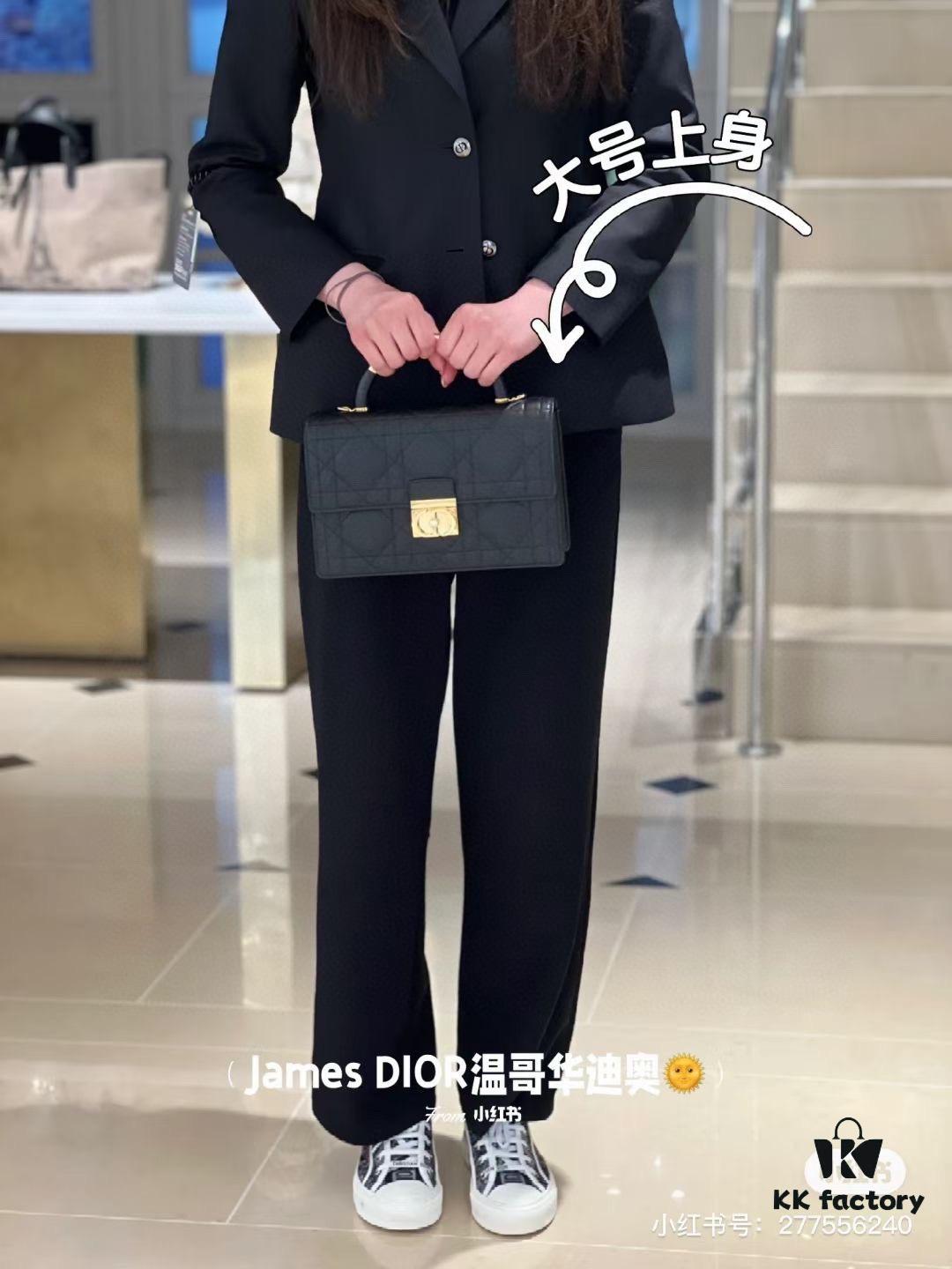 Large Dior Ange Handbag