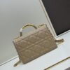 Large Dior Ange Handbag