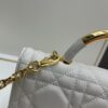 Large Dior 💛r Ange Handbag