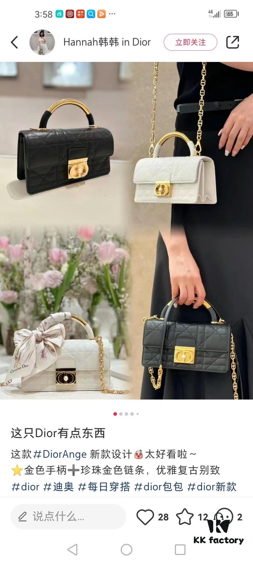 Small Dior Ange Handbag