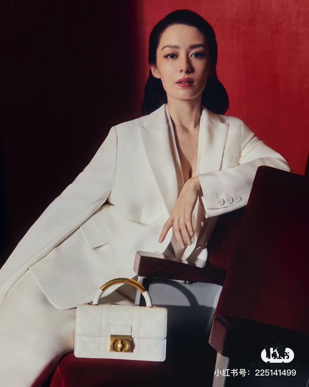 Small Dior Ange Handbag