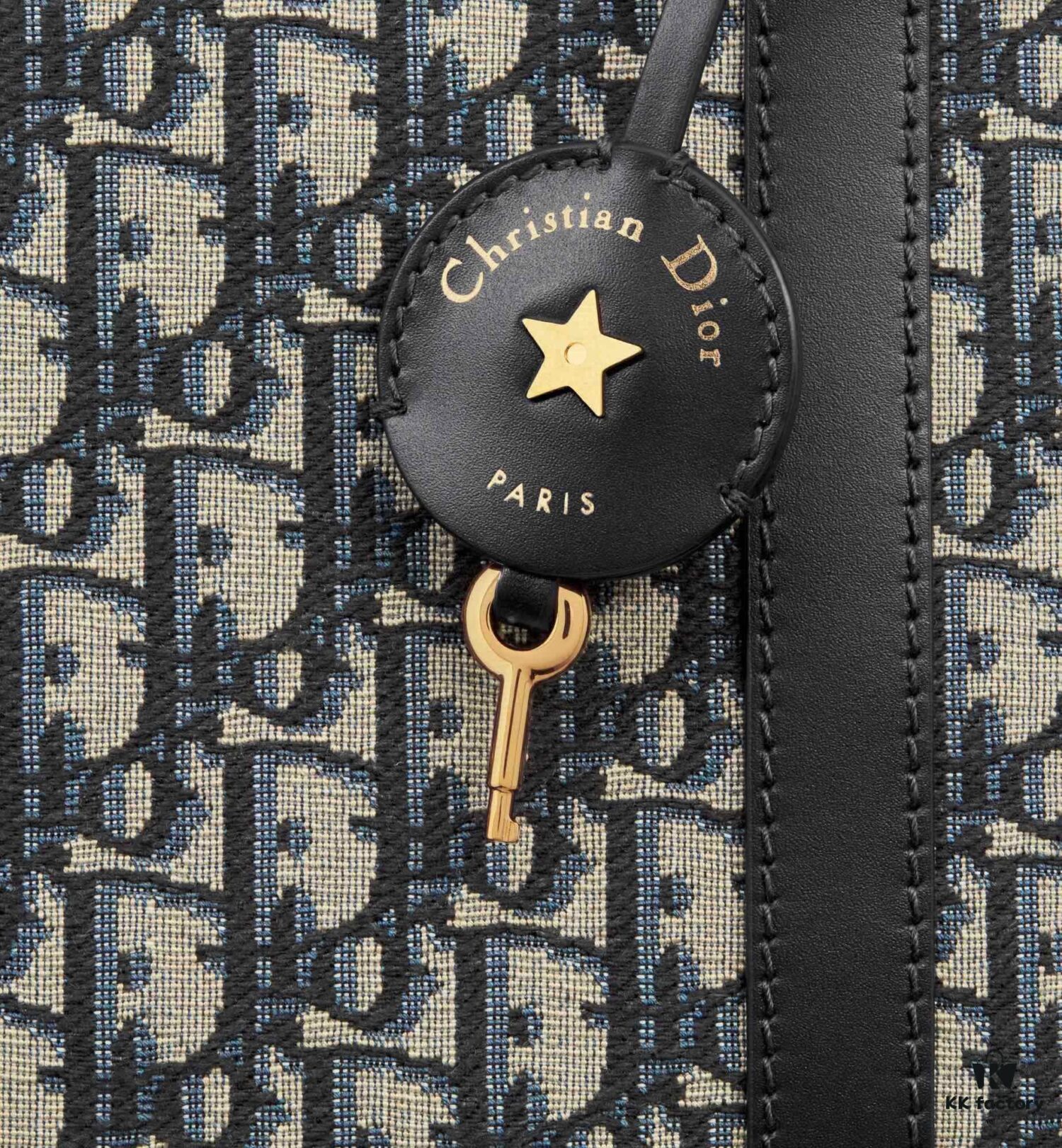 Large D-Vibe Bowling Bag in Blue Oblique Print