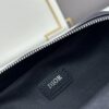 Dior Gray Grain Calfskin Camera Bag ||| Ready Stock