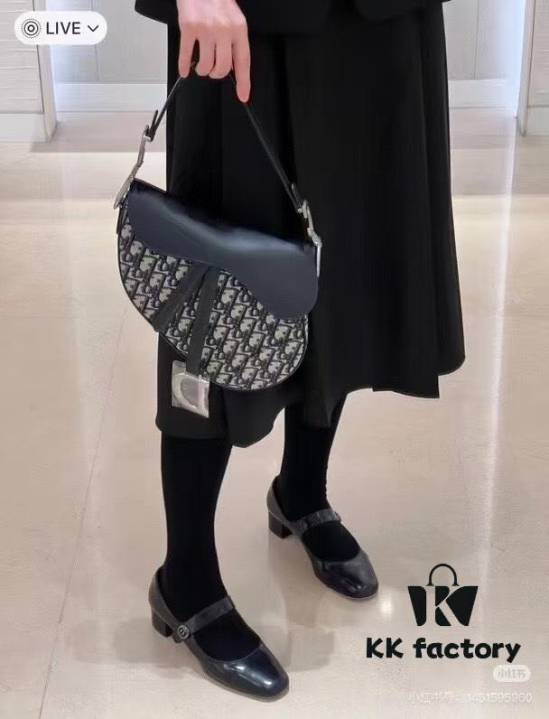 Large Size with Blue, Box Included Dior New Model Silver Buckle SADDLE Bag