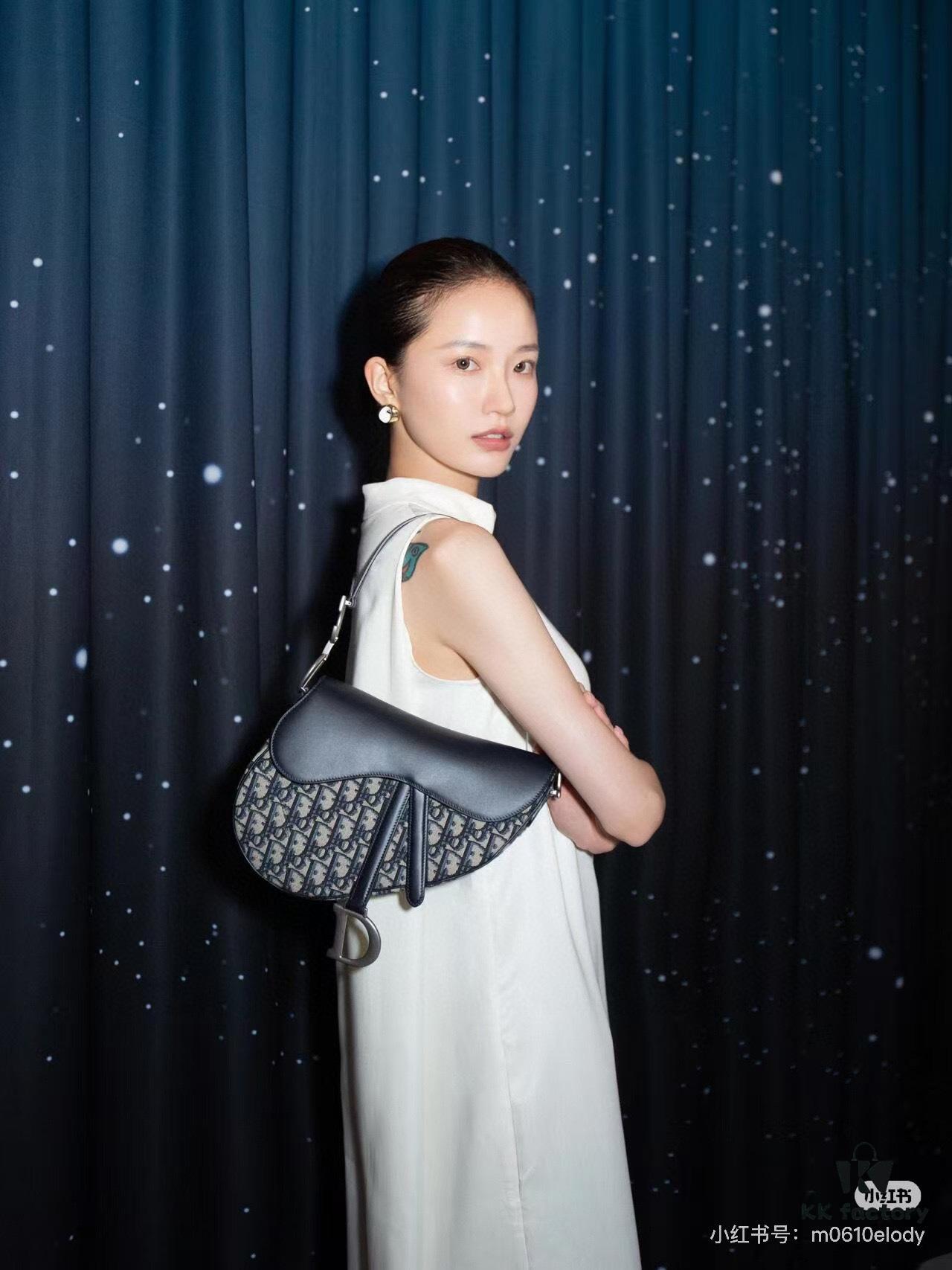 Large Size with Blue, Box Included Dior New Model Silver Buckle SADDLE Bag