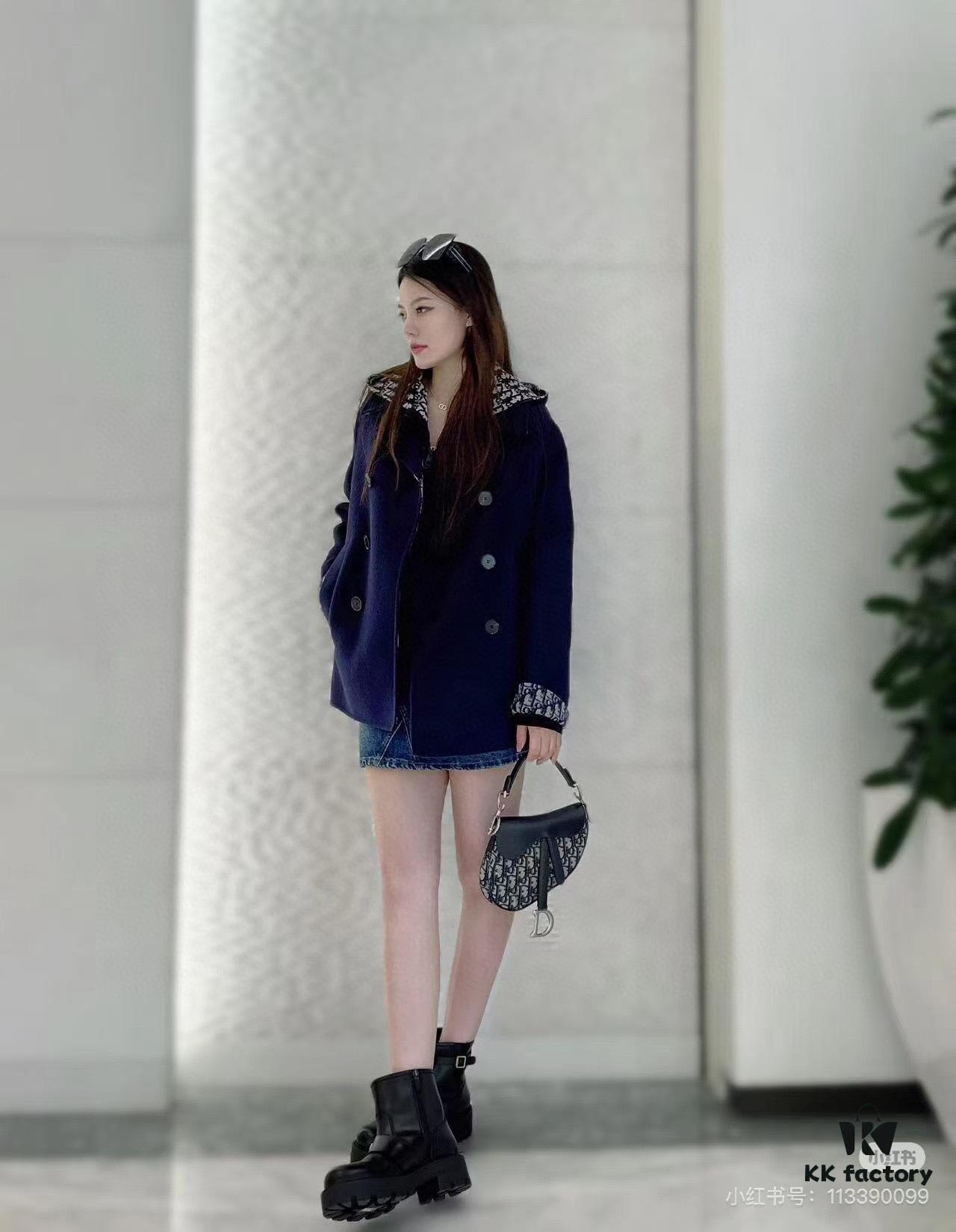 Large Size with Blue, Box Included Dior New Model Silver Buckle SADDLE Bag