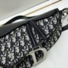 Large Size with Blue, Box Included Dior New Model Silver Buckle SADDLE Bag