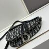 Large Size with Blue, Box Included Dior New Model Silver Buckle SADDLE Bag
