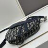 Large Size with Blue, Box Included Dior New Model Silver Buckle SADDLE Bag