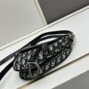 Small Size with Blue, Comes with Box Dior New Silver Buckle SADDLE Bag