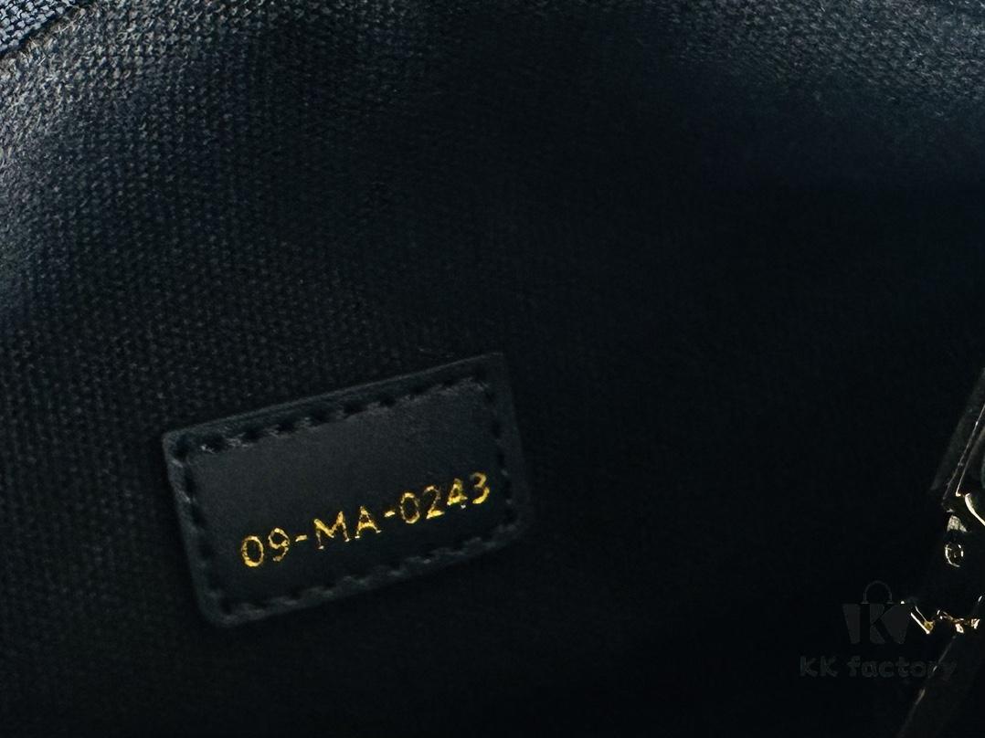 2024 Summer Dior New Arrival Oblique Vintage-Style Lunchbox Bag