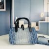 Small Dior Toujours Bag