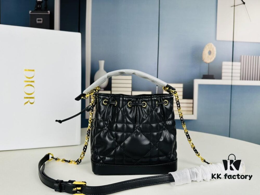 Dior 24 New Arrival Jolie Bucket Bag with Box