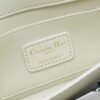 Small Dio'r Dior Ange Handbag