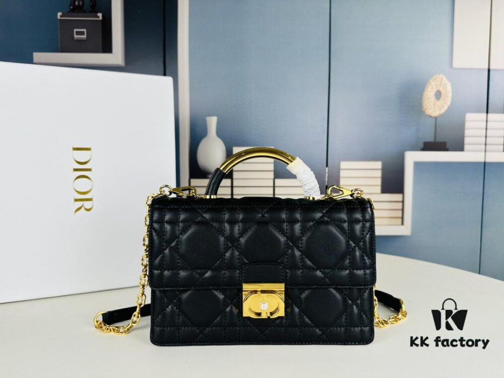 Large Dior Ange Handbag