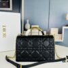 Large Dior Ange Handbag