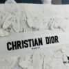 Embroidered Large [Dior Book Tote] Original Order