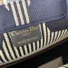 Embroidered Medium [Dior Book Tote]