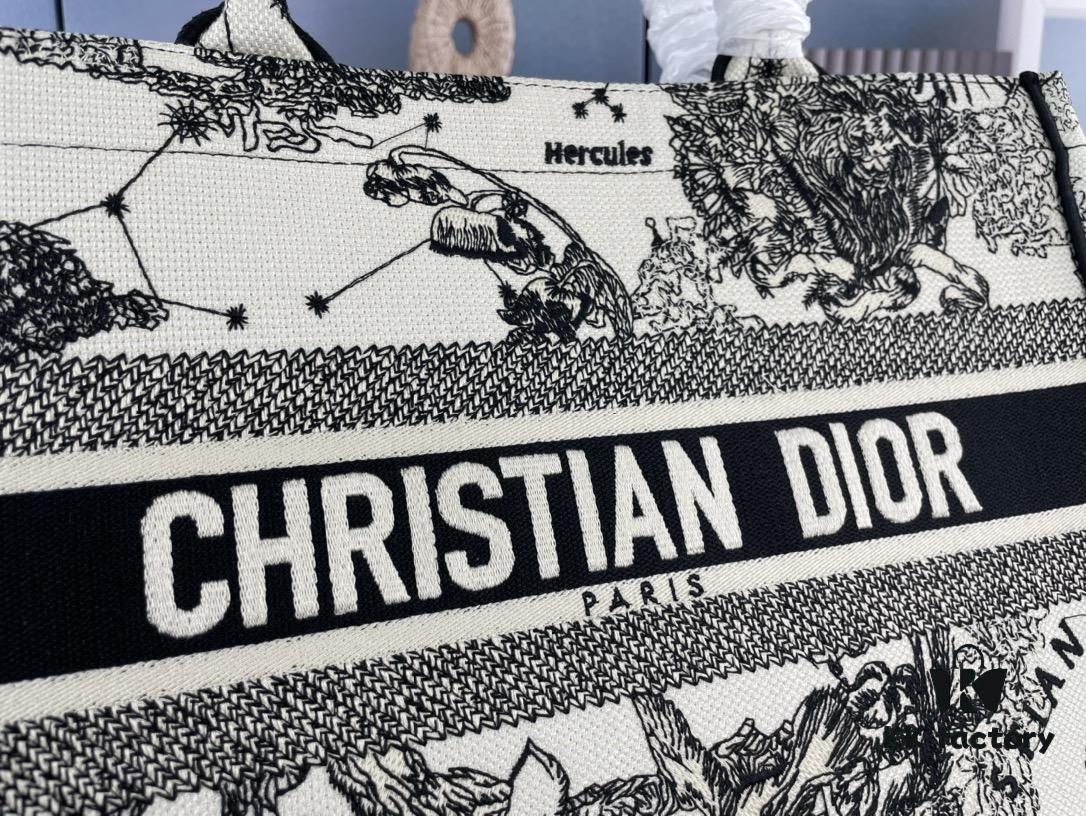 Embroidered Medium [Dior Book Tote] Original Order