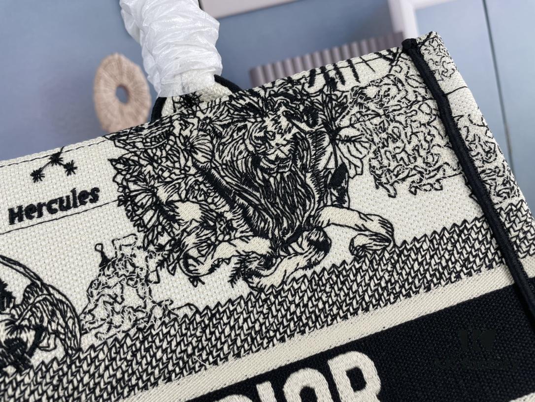 Embroidered Medium [Dior Book Tote] Original Order