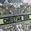 Original Order Embroidered Medium [Dior Book Tote]