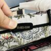 Original Order Embroidered Medium [Dior Book Tote]